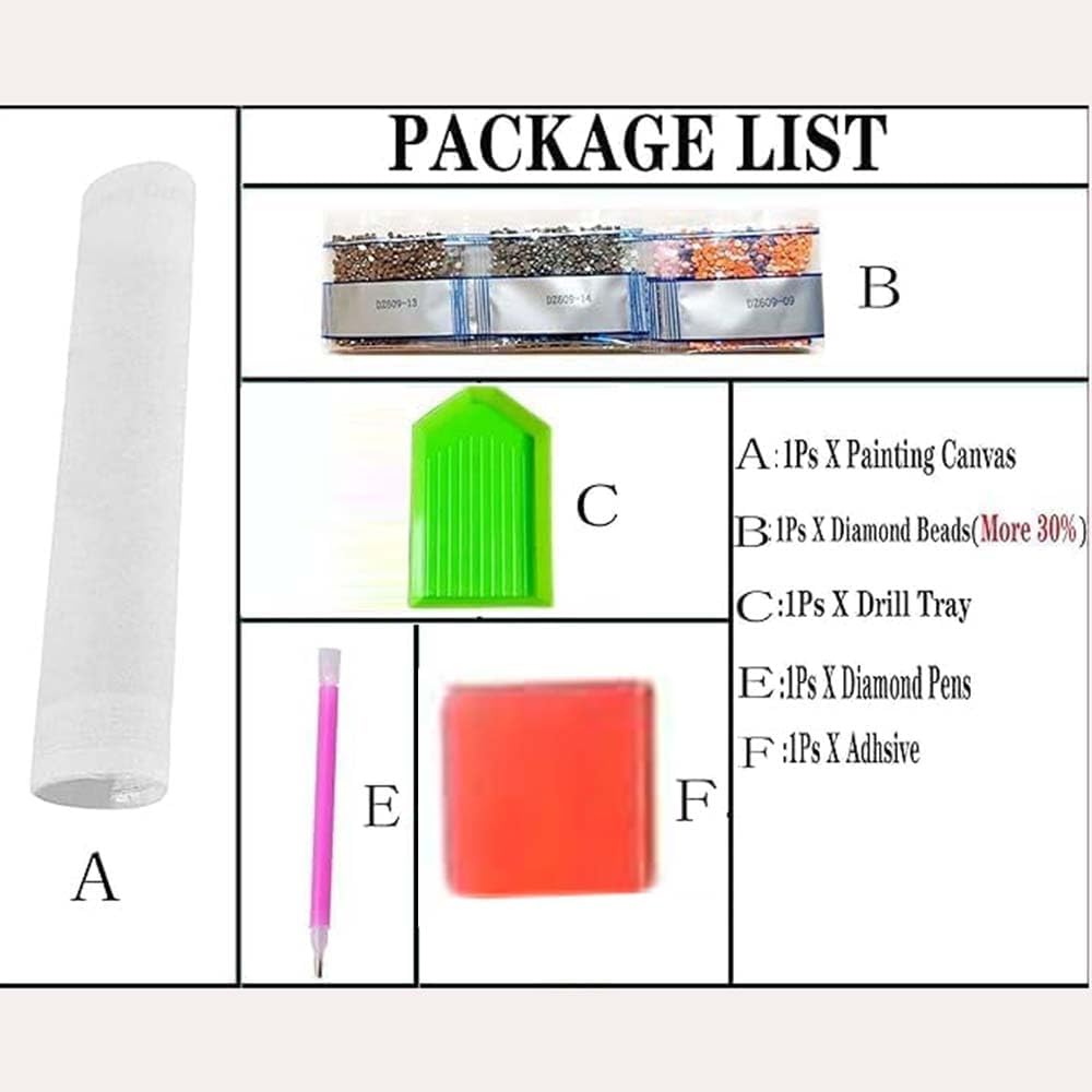 Kits de Pintura de Diamantes c - Resin Art For Beginners reseña y precio